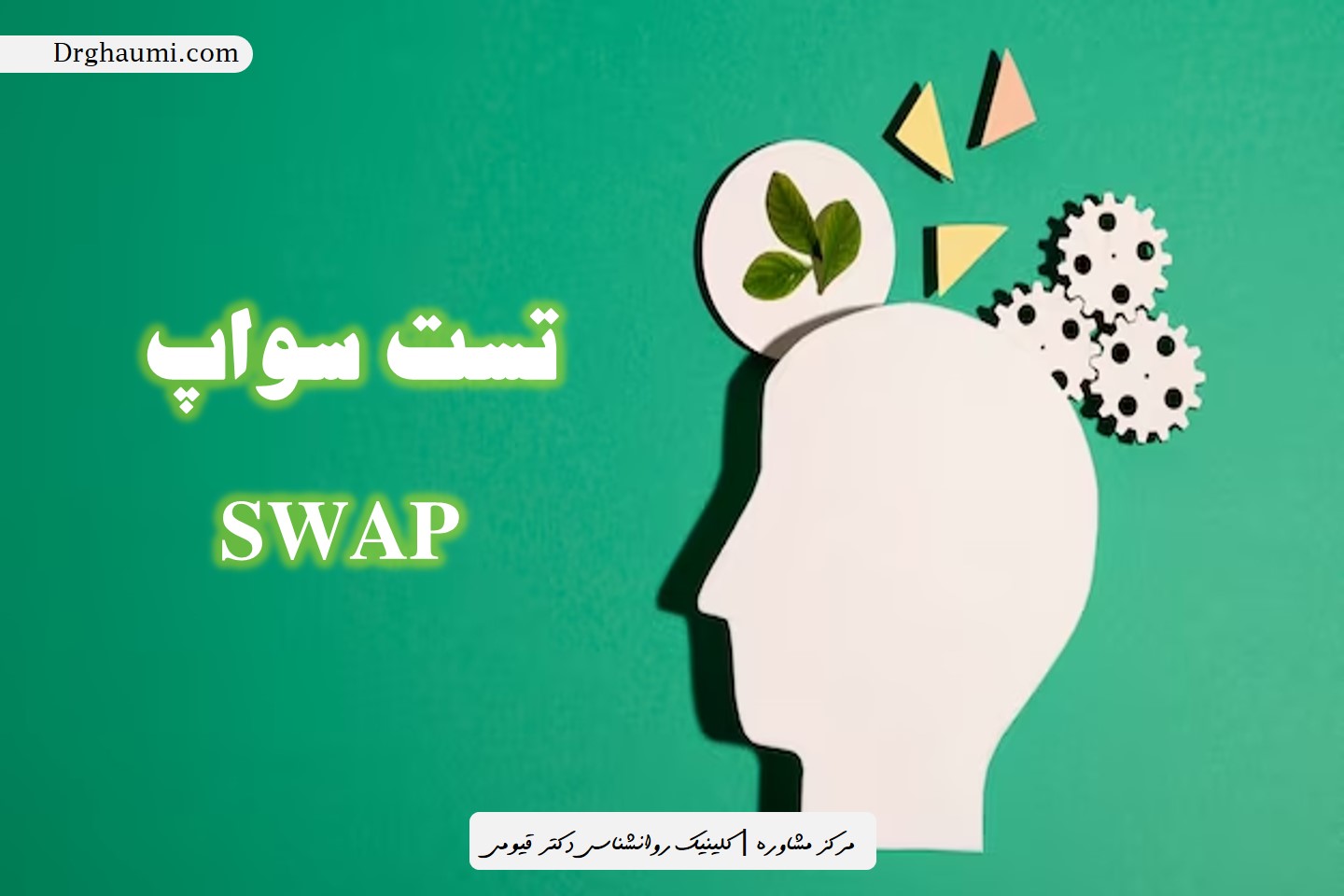 تست سواپ SWAP